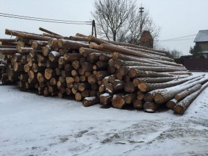 drewno zimowe